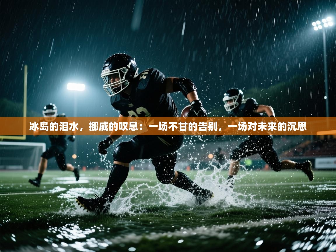 冰岛的泪水，挪威的叹息：一场不甘的告别，一场对未来的沉思  第2张